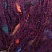 00049, *, purple, зеленый/красный/синий/фиолетовый,ШтрихКод: 4053859454421