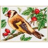Купить недорого   Набор для вышивания Anchor "Goldfinch" 8*11см, MEZ Венгрия, PCE205  в интернет магазине Фэмили хобби