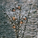 Набор для шитья вальдорфской куклы "Пушистые детки", De Witte Engel, A25300